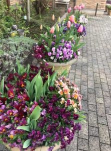 クリニックの花